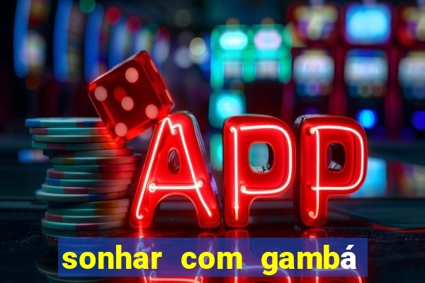 sonhar com gambá jogo do bicho